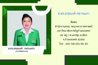 29. ข้อมูลบุคลากร